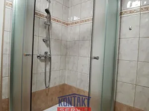 Pronájem bytu 2+kk, České Budějovice - České Budějovice 3, 48 m2