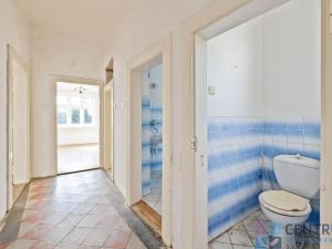 Prodej vícegeneračního domu, Tábor, Politických vězňů, 400 m2
