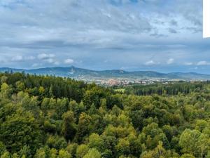 Prodej pozemku pro bydlení, Liberec, 1848 m2