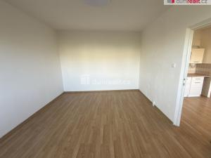 Pronájem bytu 1+1, Ústí nad Labem - Severní Terasa, Pod Parkem, 36 m2