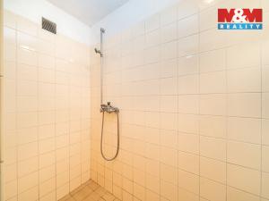 Prodej rodinného domu, Mikuleč, 150 m2