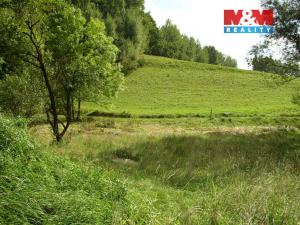 Prodej louky, Janův Důl, 2494 m2