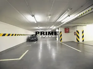 Pronájem bytu 3+kk, Praha - Vinohrady, Mánesova, 119 m2