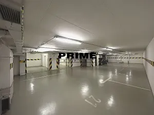 Pronájem bytu 3+kk, Praha - Vinohrady, Mánesova, 119 m2