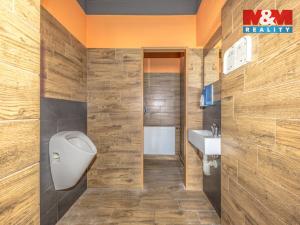 Prodej rodinného domu, Tanvald - Šumburk nad Desnou, Krkonošská, 220 m2