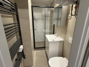 Pronájem bytu 2+kk, Stochov, Karlovarská, 43 m2