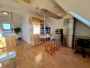 Pronájem bytu 2+kk, Bílovice nad Svitavou, Lesní, 54 m2