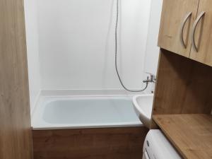 Pronájem bytu 1+kk, Karviná - Fryštát, Karola Śliwky, 32 m2