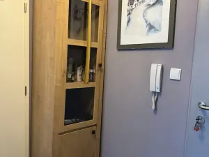 Pronájem bytu 2+kk, Praha - Libeň, U svobodárny, 50 m2