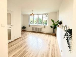 Pronájem bytu 2+kk, Meziboří, J. A. Komenského, 48 m2