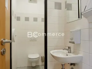Pronájem obchodního prostoru, Brno, 192 m2