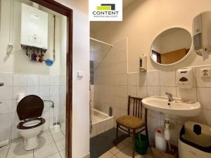 Pronájem skladu, Praha - Hostivař, U továren, 450 m2