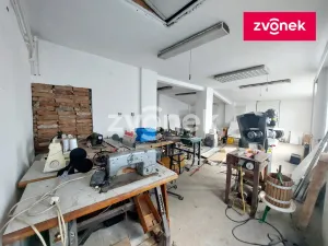 Prodej obchodního prostoru, Staré Město, Brněnská, 130 m2