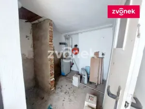 Prodej obchodního prostoru, Staré Město, Brněnská, 130 m2