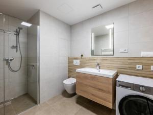 Pronájem bytu 1+kk, Plzeň, Měděná, 35 m2
