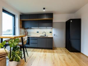 Pronájem bytu 1+kk, Plzeň, Měděná, 35 m2