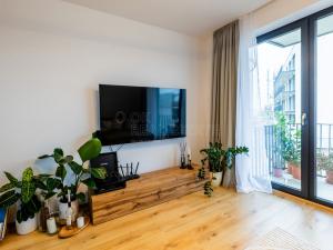 Pronájem bytu 1+kk, Plzeň, Měděná, 35 m2