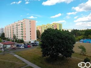 Prodej bytu 1+1, Mladá Boleslav, Na Radouči, 41 m2