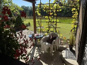Prodej chaty, Ledenice, 28 m2