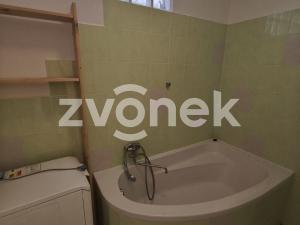 Pronájem bytu 2+kk, Bystřice pod Hostýnem, Bělidla, 55 m2