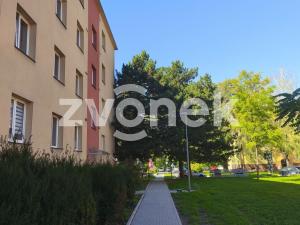 Pronájem bytu 2+kk, Bystřice pod Hostýnem, Bělidla, 55 m2