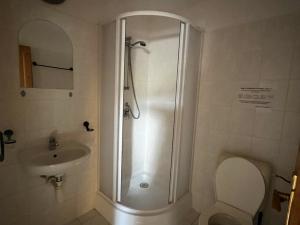 Prodej apartmánu, Podhradní Lhota, 160 m2