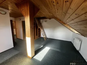 Prodej apartmánu, Podhradní Lhota, 160 m2