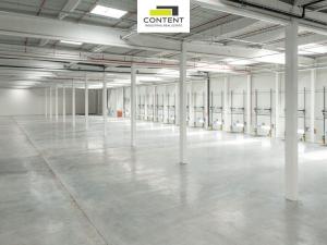 Pronájem výrobních prostor, Ostrava - Vítkovice, 16000 m2