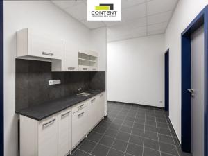 Pronájem výrobních prostor, Ostrava - Vítkovice, 16000 m2