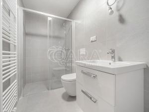 Pronájem bytu 1+kk, Praha - Stodůlky, Za Lužinami, 27 m2