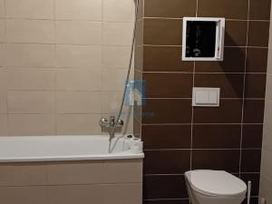 Pronájem bytu 1+kk, Plzeň, Rejskova, 54 m2