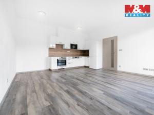 Pronájem bytu 3+kk, Plzeň - Severní Předměstí, Bolevecká, 60 m2