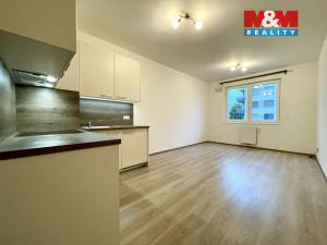 Pronájem bytu 1+kk, Praha - Vysočany, Svatošových, 32 m2