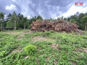 Prodej zemědělské usedlosti, Jesenice - Boudy, 136 m2