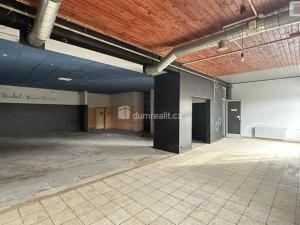Pronájem obchodního prostoru, Břeclav - Charvátská Nová Ves, Na Valtické, 200 m2