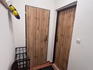 Pronájem bytu 1+kk, Teplá, Havlíčkova, 48 m2