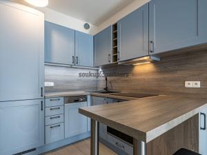 Pronájem bytu 1+kk, Praha, Vítové, 29 m2