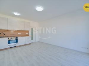 Pronájem bytu 1+kk, Olomouc, Wolkerova, 31 m2