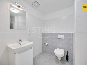 Pronájem bytu 1+kk, Olomouc, Wolkerova, 31 m2