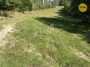 Prodej louky, Pavlov, 8429 m2