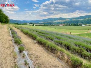 Prodej zemědělské usedlosti, Nezabudice, 410 m2