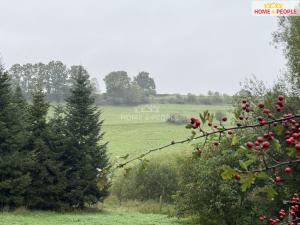Prodej komerčního pozemku, Netolice, Za Mnichem, 20452 m2