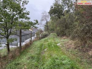 Prodej komerčního pozemku, Netolice, Za Mnichem, 20452 m2