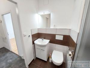 Pronájem bytu 2+1, Opava - Předměstí, Hradecká, 44 m2