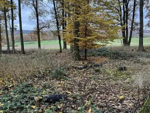 Prodej podílu pozemku, Dolní Lukavice, 43384 m2