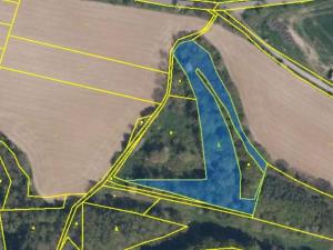 Prodej podílu lesa, Luka, 3584 m2