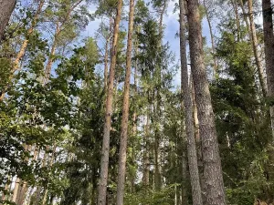 Prodej podílu pozemku, Velký Ratmírov, 3510 m2