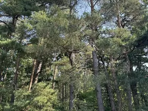 Prodej podílu pozemku, Hradiště, 3093 m2