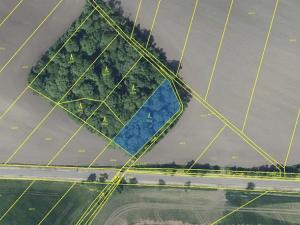 Prodej lesa, Děčany, 1581 m2