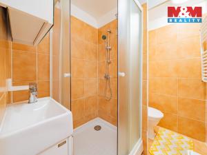 Pronájem bytu 1+kk, Aš, Dobrovského, 19 m2
